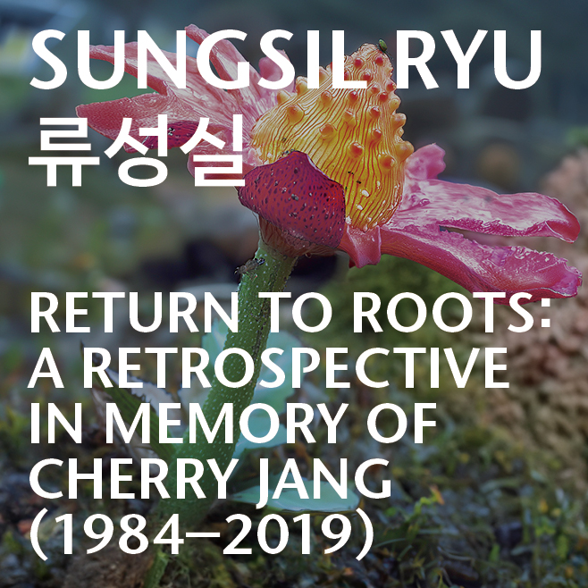 Return to Roots: A Retrospective in Memory of Cherry Jang (1984-2019)