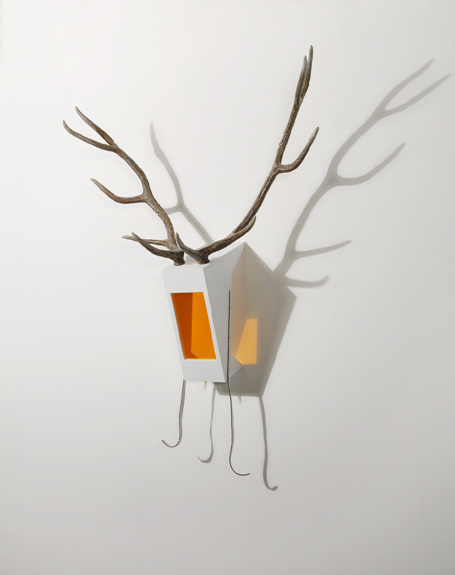 Orange Deer