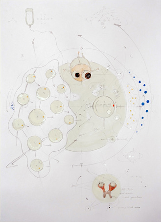 Eye Trace drawing