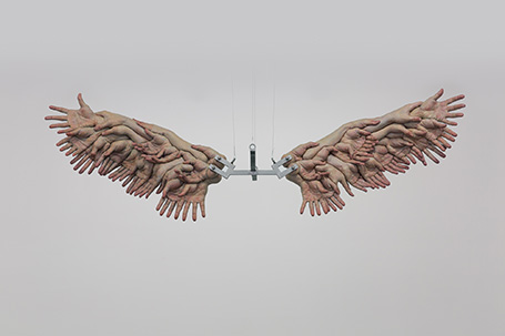 The Wings