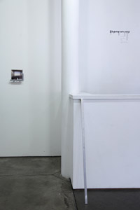 installation view