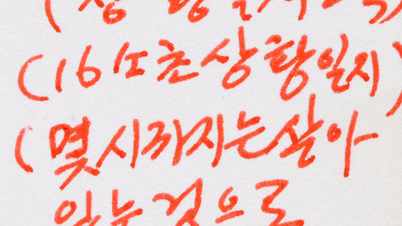 독학자