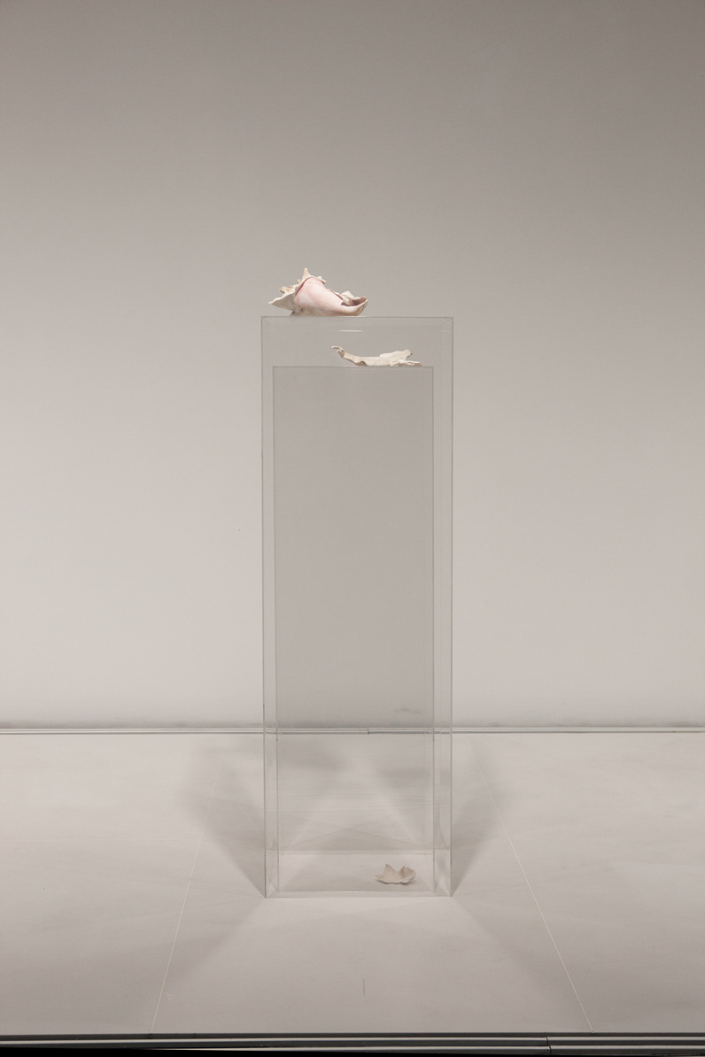 복원 (순수 소리)