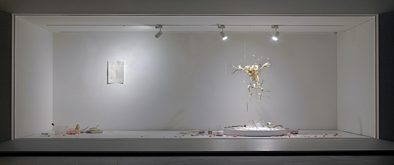 Homo Species Anatomy Figure I