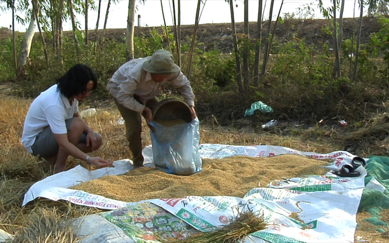 made in Cambodia (Rice)