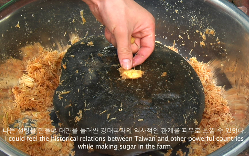 made in Taiwan (Sugar)