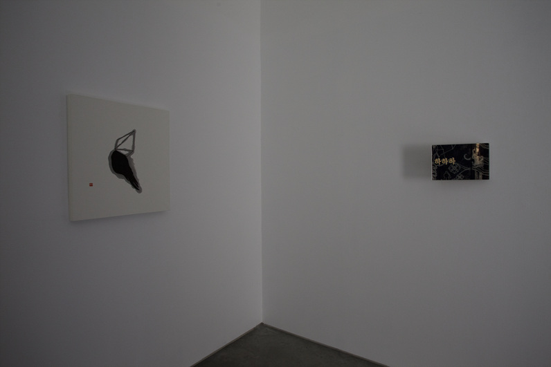 Voyage of the Black Bird