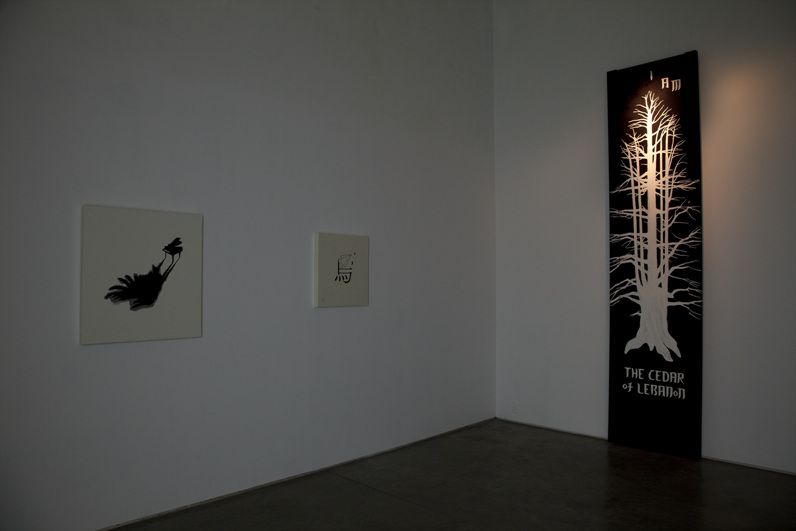 Voyage of the Black Bird