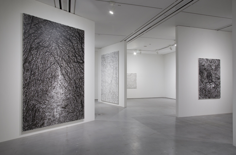 installation view