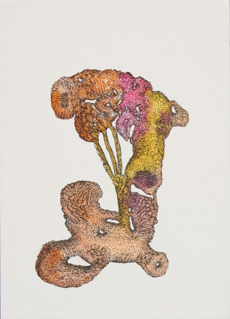 Drawing for Brutal Skins