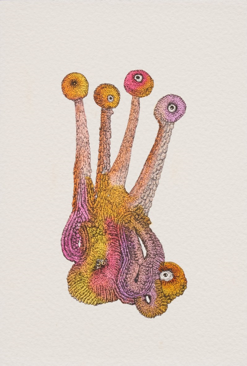 Drawing for Brutal Skins