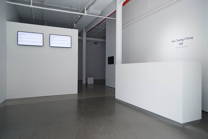 Installation View