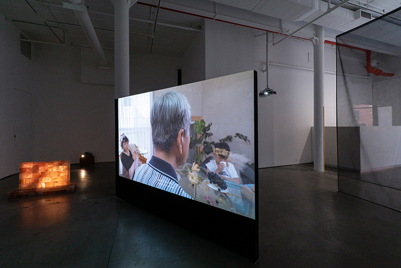 Installation view 