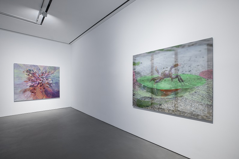 Installation view