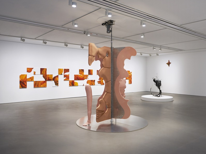 Installation view