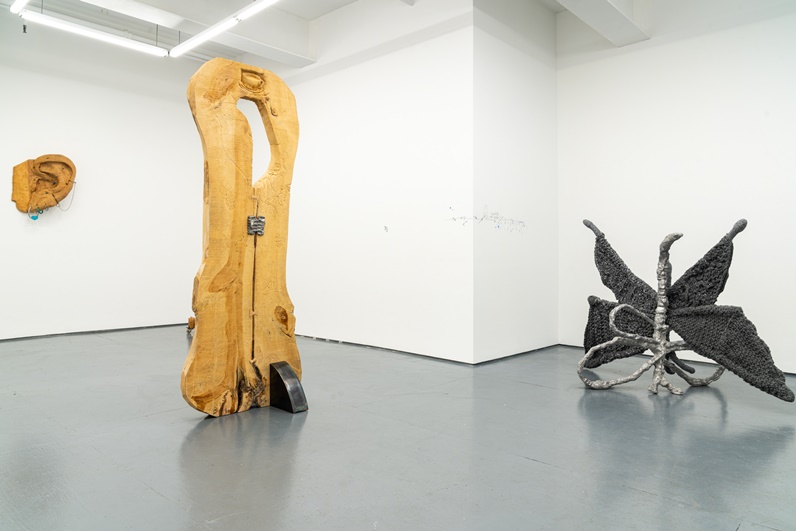 Installation view