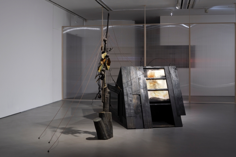 Trigger, They said they would leave