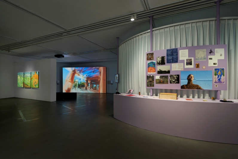Installation view