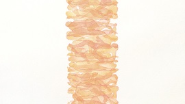 Column 썸네일