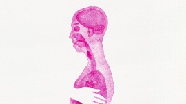 Male Torso 썸네일