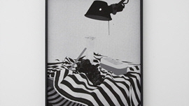 Still Life 썸네일