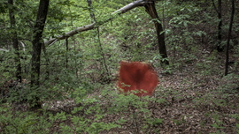 Post Tenebras Lux_08 썸네일