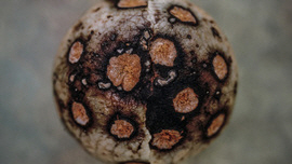 Untitled_05 썸네일