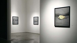 Site&Place 썸네일