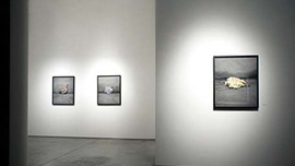 Site&Place 썸네일