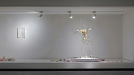 Homo Species Anatomy Figure I 썸네일