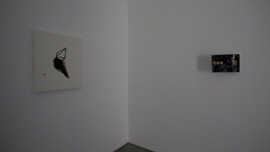 Voyage of the Black Bird 썸네일