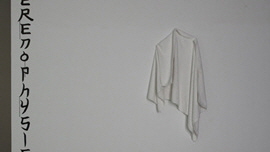 Voyage of the Black Bird 썸네일