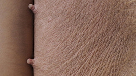 Composition 2 썸네일