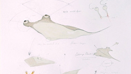 Eye Trace drawing 썸네일