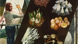 Drawings of A Curious Observer(1) 썸네일