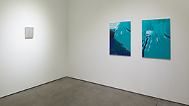 Installation View 썸네일