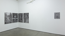 Installation View 썸네일