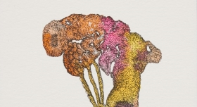 Drawing for Brutal Skins 썸네일