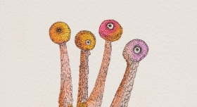 Drawing for Brutal Skins 썸네일