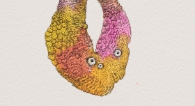 Drawing for Brutal Skins 썸네일