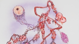 Eyes Without a Face 썸네일