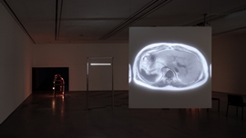 Installation view 썸네일