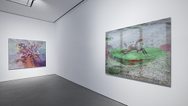 Installation view 썸네일