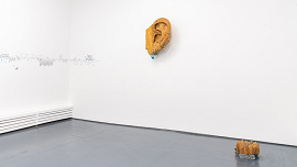 Installation view 썸네일