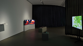 Installation view 썸네일