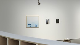 Installation View 썸네일