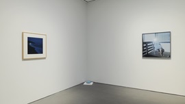 Installation View 썸네일