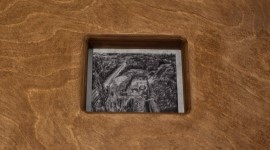 움직이는 인슐라 썸네일