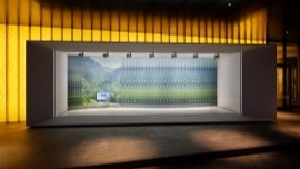 라이에로 가는 길 썸네일